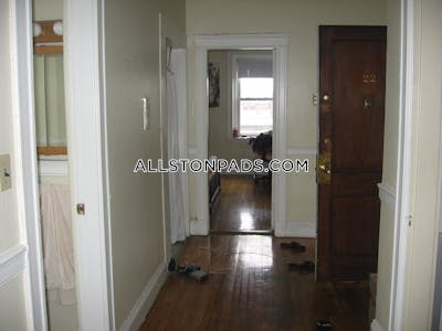 Allston Apartment for rent 1 Bedroom 1 Bath Boston - $2,700