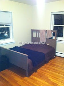 Brighton 2 Beds 1 Bath Boston - $3,000