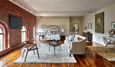 South End Superb 1 Bed 1 Bath Boston - $2,900