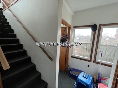 Fort Hill 3 Beds 1 Bath Boston - $3,450