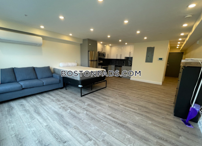 Allston 0 Bed 1 Bath BROOKLINE- BOSTON UNIVERSITY Boston - $2,700