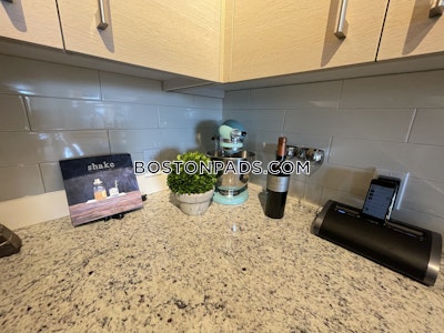 Chinatown 1 Bed 1 Bath BOSTON Boston - $3,295