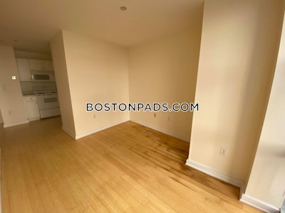 Downtown 1 Bed, 1 Bath Unit Boston - $2,995 No Fee