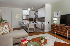 Downtown Apartment for rent 1 Bedroom 1 Bath Boston - $4,045