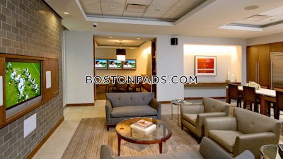 Downtown Apartment for rent 1 Bedroom 1 Bath Boston - $4,505