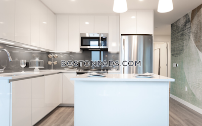 West End Apartment for rent 2 Bedrooms 2 Baths Boston - $11,756