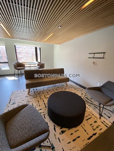 South End Apartment for rent 1 Bedroom 1 Bath Boston - $2,900 No Fee