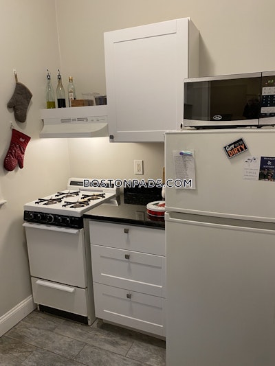 Allston Apartment for rent 1 Bedroom 1 Bath Boston - $2,590