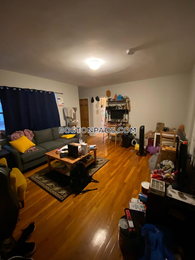 Brighton Apartment for rent 1 Bedroom 1 Bath Boston - $2,340