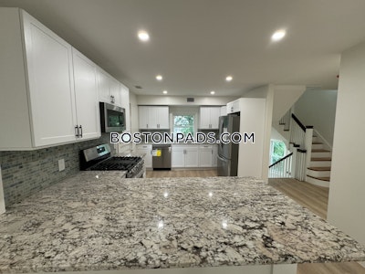 Brighton Apartment for rent 3 Bedrooms 2 Baths Boston - $5,400