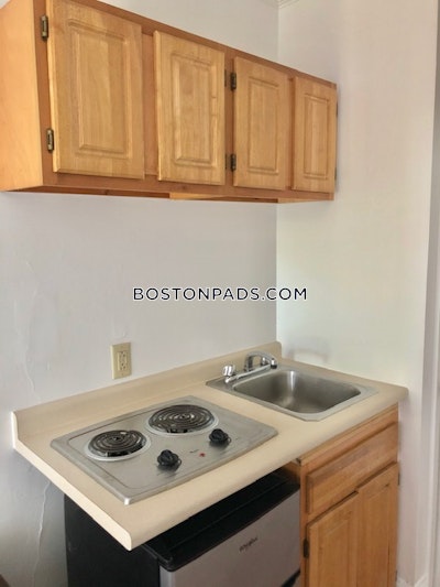 Brookline Apartment for rent Studio 1 Bath  Boston University - $1,895 No Fee