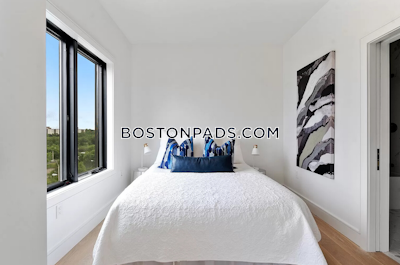 Brighton Apartment for rent 2 Bedrooms 2 Baths Boston - $4,495 No Fee