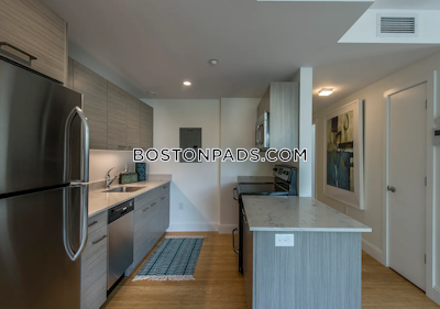 Allston Apartment for rent 2 Bedrooms 2 Baths Boston - $3,900 No Fee