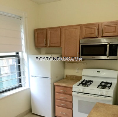 Allston Apartment for rent 1 Bedroom 1 Bath Boston - $2,450 No Fee