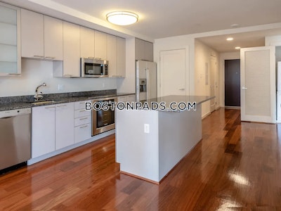 West End Apartment for rent Studio 1 Bath Boston - $2,985