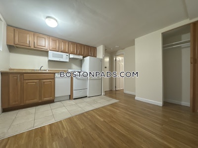 Allston/brighton Border Apartment for rent 1 Bedroom 1 Bath Boston - $2,000 No Fee