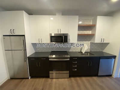 Allston Apartment for rent 1 Bedroom 1 Bath Boston - $3,750 No Fee