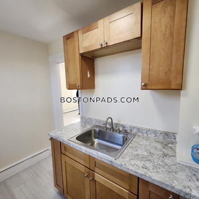 Jamaica Plain Apartment for rent 3 Bedrooms 1 Bath Boston - $3,350